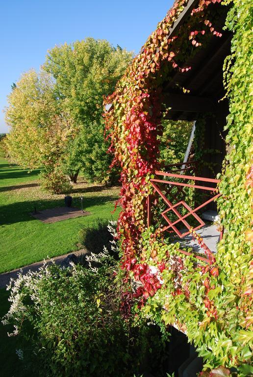 Domaine De L'Arbrelle Hotel อองบวส ภายนอก รูปภาพ