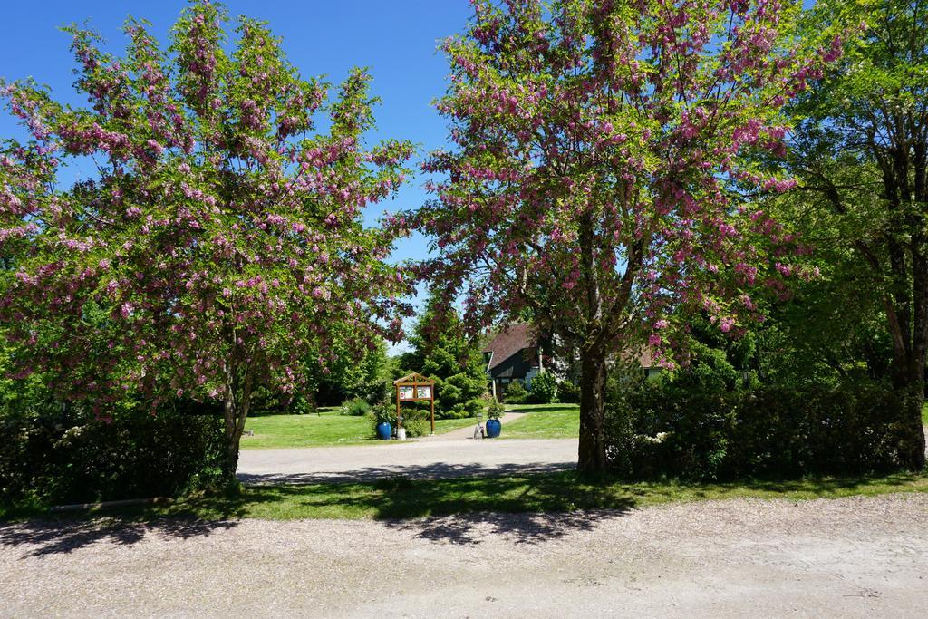 Domaine De L'Arbrelle Hotel อองบวส ภายนอก รูปภาพ